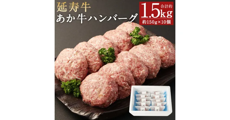 【ふるさと納税】熊本県産 延寿牛 あか牛 ハンバーグ 約150g×10個 合計約1.5kg 小分け 個包装 お肉 和牛 ハンバーグ 焼くだけ 熊本県産 九州産 国産 冷凍 送料無料