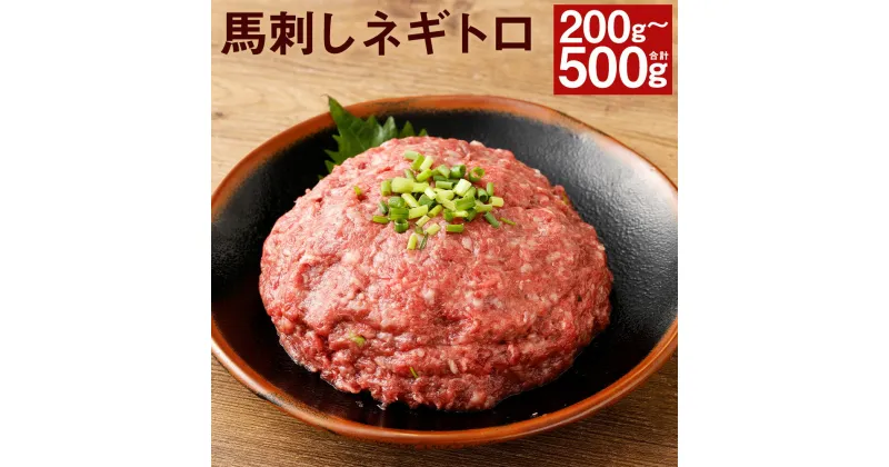 【ふるさと納税】【フジチク】馬刺しネギトロ 200g/300g/400g/500g 選べる内容量 タレ・生姜付き ネギトロ 小分け 馬刺し 馬肉 刺身 赤身 冷凍 送料無料