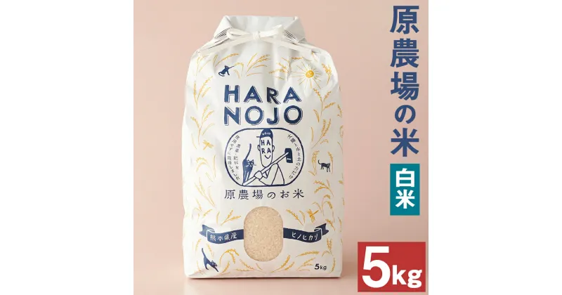 【ふるさと納税】原農場の米 白米 5kg ヒノヒカリ 令和6年産 精米 お米 農薬・化学肥料不使用 熊本県産 九州産 送料無料