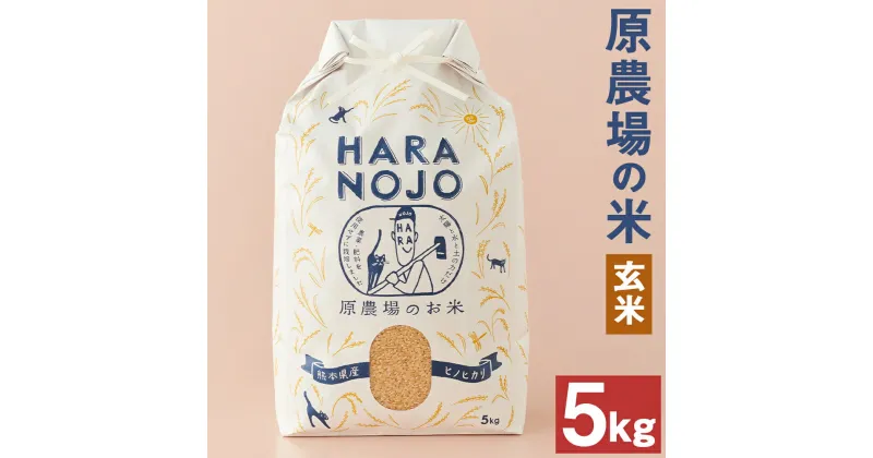 【ふるさと納税】原農場の米 玄米 5kg ヒノヒカリ 令和6年産 お米 農薬・化学肥料不使用 熊本県産 九州産 送料無料