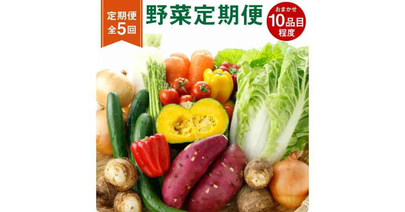 【ふるさと納税】【定期便5回】野菜定期便 10品程度【メロンドーム】 野菜 詰め合わせ セット 品種おまかせ ランダム 定期便 5ヶ月お届け 送料無料