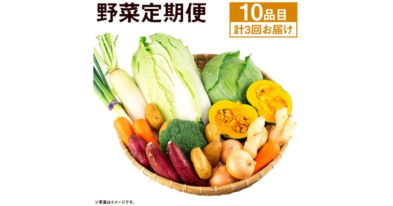 【ふるさと納税】旬の野菜定期便 計3回 旬の野菜 10品【養生市場】 定期便 品種おまかせ ランダム 3ヶ月お届け 計3回 詰め合わせ セット 野菜 九州産 熊本県産 送料無料