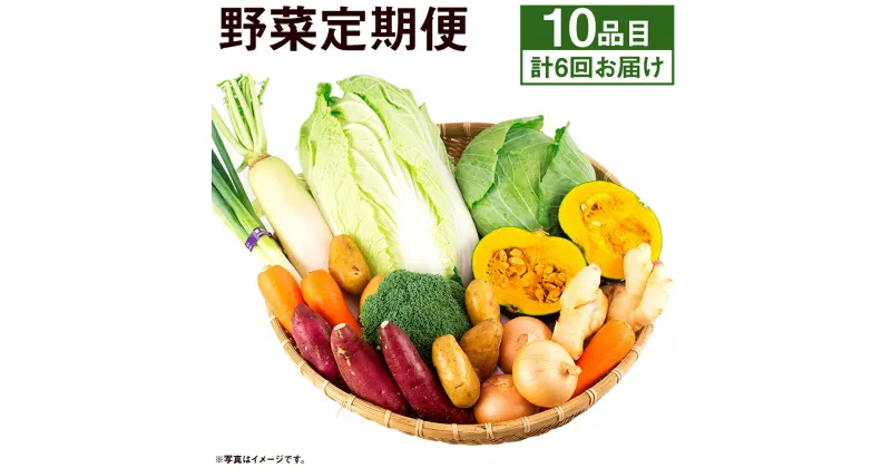 【ふるさと納税】旬の野菜定期便 計6回 旬の野菜 10品【養生市場】 定期便 品種おまかせ ランダム 6ヶ月お届け 計6回 詰め合わせ セット 野菜 九州産 熊本県産 送料無料