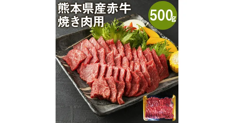 【ふるさと納税】熊本県産赤牛 焼き肉用 500g バラ モモ ウデ いずれか1種 牛肉 牛 ランダム 国産 九州産 熊本県産 菊池市 冷凍 送料無料