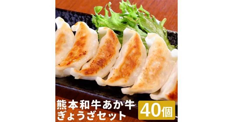 【ふるさと納税】熊本和牛あか牛ぎょうざセット 20個入り×2箱 合計40個 熊本 あか牛 餃子 ぎょうざ 惣菜 おかず おつまみ 冷凍 送料無料