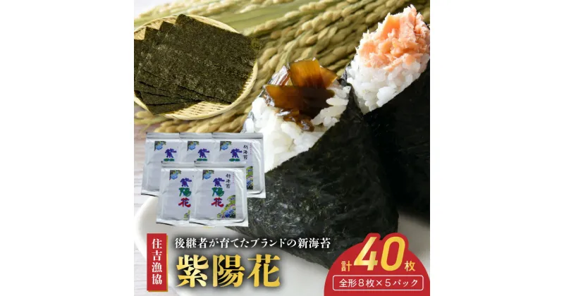 【ふるさと納税】住吉漁協 後継者が育てたブランドの新海苔「紫陽花」(全形8枚×5パック)【熊本県宇土市】