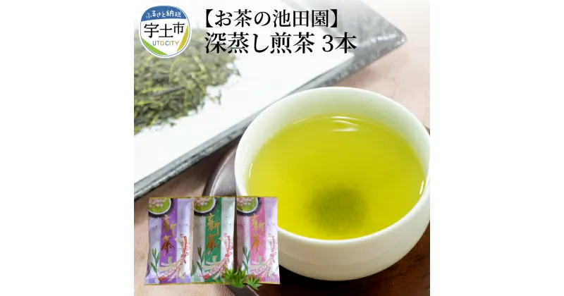 【ふるさと納税】 お茶の池田園 深蒸し煎茶100g×3本【熊本県宇土市】