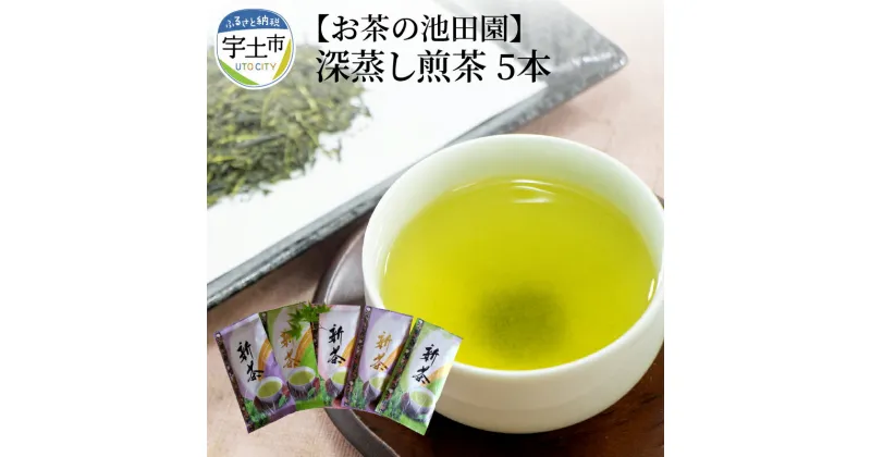 【ふるさと納税】 お茶の池田園 深蒸し煎茶100g×5本【熊本県宇土市】