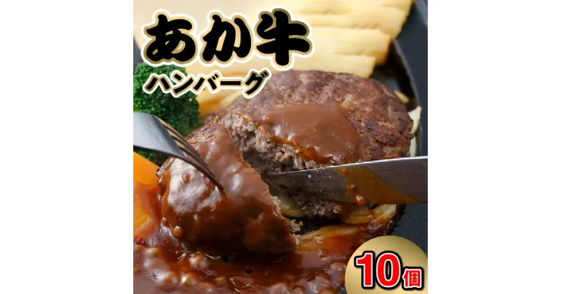 【ふるさと納税】あか牛 ハンバーグ 150g 10個 計 1.5kg 国産 牛肉 和牛 褐毛和種 国産和牛 熊本県産 手作り ジューシー 柔らかい 赤身肉 赤身 ほどよい脂肪 美味しい おかず 弁当 惣菜 肉加工品 冷凍 肉三代目 お取り寄せ お取り寄せグルメ 送料無料 【熊本県宇土市】