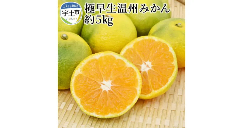 【ふるさと納税】進栄　極早生温州みかん　約5kg【熊本県宇土市】