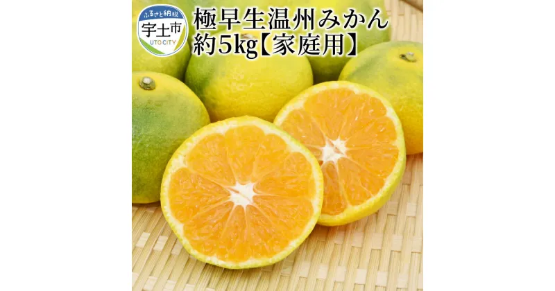 【ふるさと納税】進栄 家庭用 極早生温州みかん 約 5kg みかん 国産 柑橘 果物 果実 ビタミン 旬 フルーツ デザート ジューシー 食品 常温 九州 お取り寄せ お取り寄せフルーツ 送料無料【熊本県宇土市】