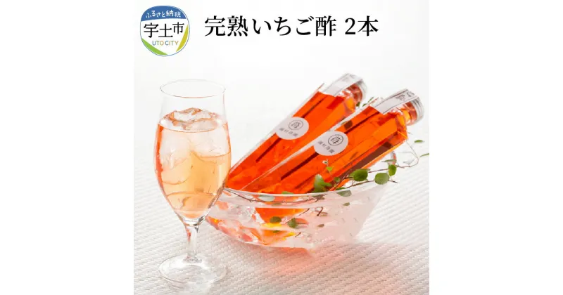 【ふるさと納税】園村苺園 農家秘伝の完熟いちご酢 200ml×2本【熊本県宇土市】