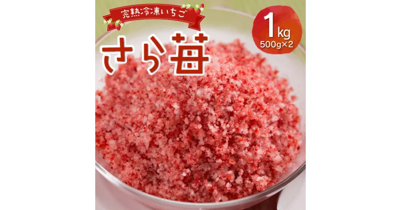 【ふるさと納税】完熟 冷凍 いちご さら苺 1kg 500g × 2パック 国産 さちのか 急速冷凍 フローズン パウダー状 スイーツ ストロベリー お取り寄せ おすそ分け 手土産 お土産 ギフト 熨斗対応可 果物 フルーツ 熊本県宇土産 園村苺園 送料無料 【熊本県宇土市