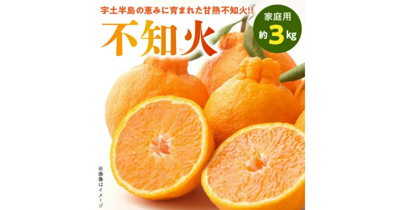 【ふるさと納税】【家庭用】 不知火 約 3kg 熊本県産 樹成 甘熟 柑橘 柑橘類 みかん 旬 甘い 果物 フルーツ オレンジ 国産 福島オレンジ農園 お取り寄せ お取り寄せフルーツ 常温発送 送料無料【熊本県宇土市】