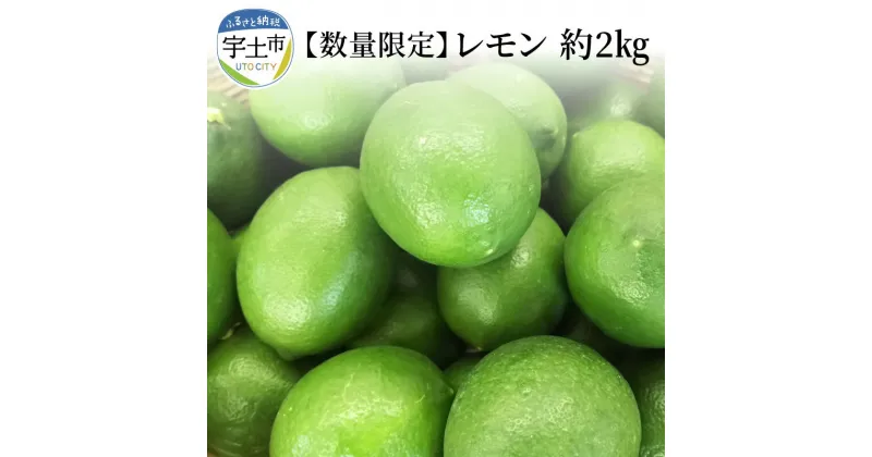 【ふるさと納税】進栄　農薬を使わず栽培!! レモン約2kg【熊本県宇土市】