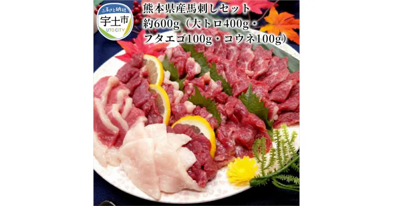 【ふるさと納税】熊本県産馬刺しセット約600g（大トロ400g・フタエゴ100g・コウネ100g）　※タレ、生姜付【熊本県宇土市】