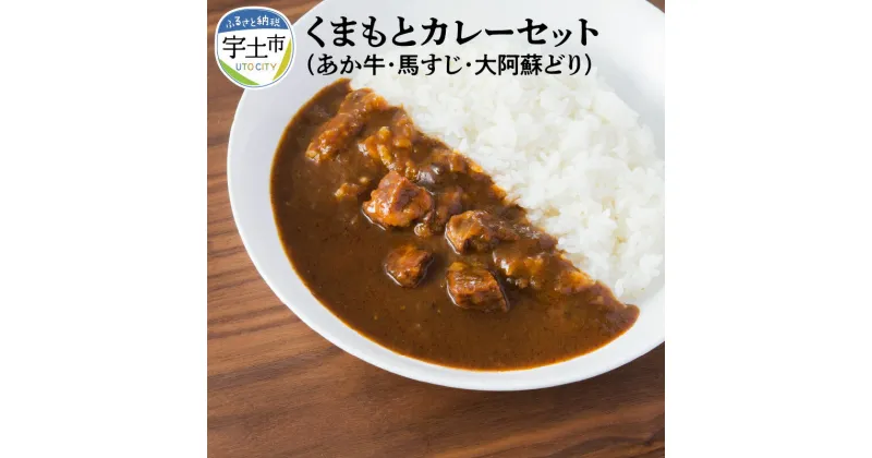 【ふるさと納税】 カレー カレーセット あか牛 馬すじ 大阿蘇どり 化学調味料不使用 保存料不使用 着色料不使用 詰め合わせ 熊本【熊本県宇土市】