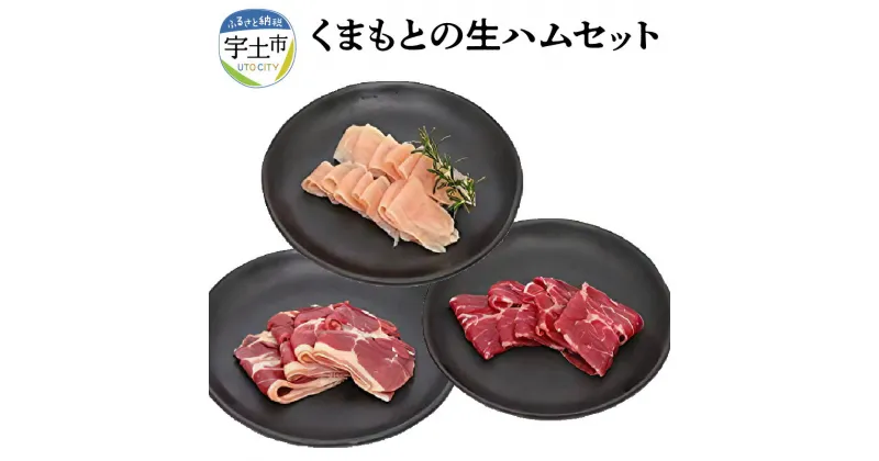 【ふるさと納税】生ハム 馬肉 牛肉 鶏肉 熟成 セット おつまみ トッピング 熊本 【熊本県宇土市】