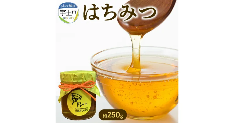 【ふるさと納税】はちみつ 約 250g 純粋 百花 糖度 79度 国産 ハニービーハニー まろやか 瓶 林養蜂園 宇土市産 デザート スイーツ 自然の恵み 甘味料 お菓子作り トッピング ナッツ ヨーグルト パンケーキ お取り寄せ ギフト 贈答用 プレゼント 送料無料 【熊本県宇土市】