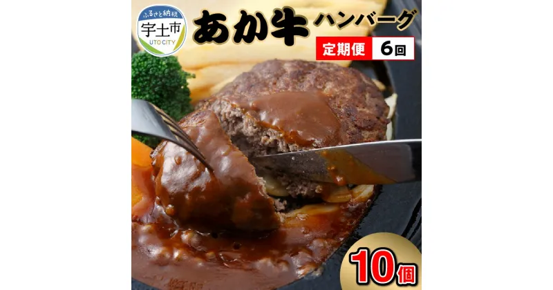 【ふるさと納税】定期便 6回 ハンバーグ 150g 10個 1.5kg 手作り 牛肉 あか牛 和牛 褐毛和牛 国産和牛 熊本産 冷凍 肉三代目 ジューシー 柔らか 美味しい 肉感 おかず 加工品 お取り寄せ グルメ 加熱調理 送料無料【熊本県宇土市】