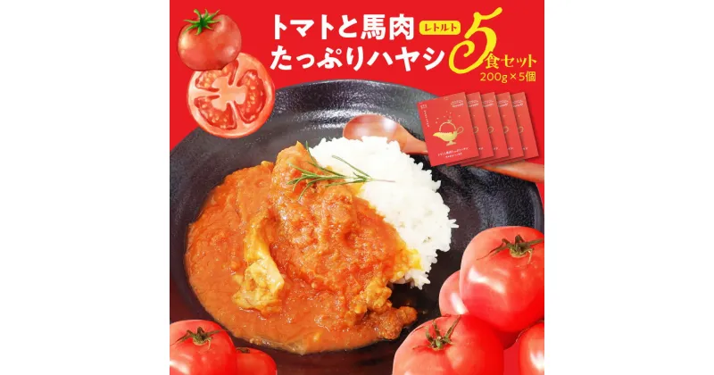 【ふるさと納税】ハヤシライス 200g × 5個 トマト 熊本名産 馬肉 レトルト レトルト食品 レンチン 湯煎 お手軽 簡単調理 時短 昼食 夕食 軽食 お取り寄せ お取り寄せグルメ 常温配送 加工品 送料無料【熊本県宇土市】