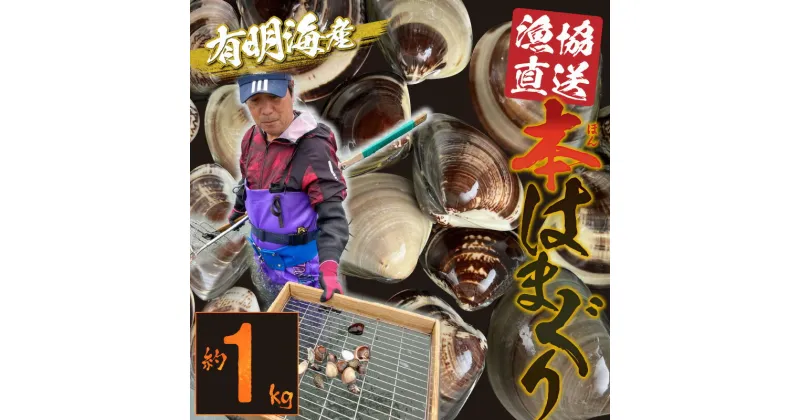 【ふるさと納税】はまぐり 本はまぐり 約 1kg 漁協直送 網田 有明海産 魚介 貝 海鮮 国産 天然 バーベキュー BBQ 和食 パエリア お吸い物 酒蒸し 焼はま 網焼き 食品 お取り寄せ お取り寄せグルメ 送料無料 【熊本県宇土市】