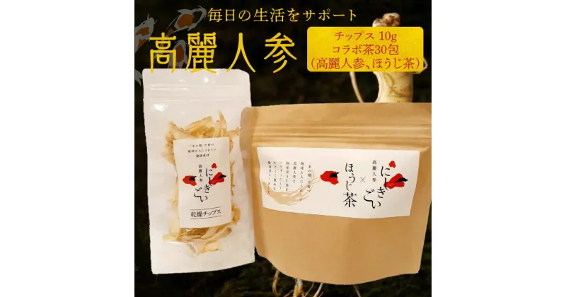 【ふるさと納税】高麗人参 チップス 10g コラボ茶 30包 国産 長白參 アクアポニックス 水耕栽培 お茶 トッピング 乾物 パック 国産ほうじ茶 生活 サポート サポニン にしきごい ナカファーム お取り寄せ 送料無料【熊本県宇土市】