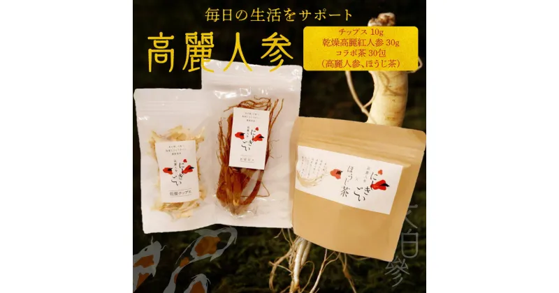 【ふるさと納税】高麗人参 チップス 10g 乾燥高麗紅人参 30g コラボ茶 ほうじ茶 30包 長白參 国産 アクアポニックス 水耕栽培 生活 サポート 国産ほうじ茶 サポニン にしきごい ナカファーム お取り寄せ 送料無料【熊本県宇土市】