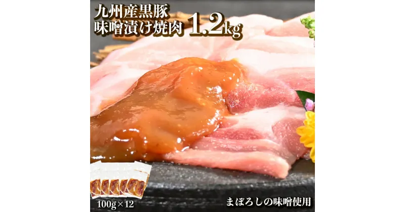 【ふるさと納税】九州産 黒豚 味噌漬け 切り落とし 100g × 12パック セット 計 1.2kg 小分け 真空パック 国産 肉 豚肉 みそ味 味付き肉 味噌 風味豊か しっとり 濃厚 うまみ オアシス九州 お取り寄せ お取り寄せグルメ 食品 おかず 冷凍 送料無料【熊本県宇土市】