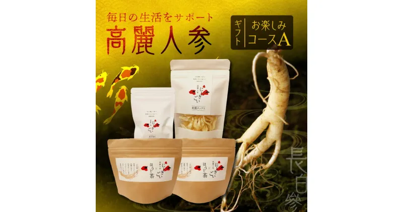 【ふるさと納税】高麗人参 コラボ茶 ほうじ茶 15包 2袋 カプセル 31粒 乾燥チップス 10g 国産 長白參 アクアポニックス 水耕栽培 パウダーカプセル お手軽 持ち運び 便利 生活 サポート サポニン にしきごい ナカファーム お取り寄せ 送料無料【熊本県宇土市】