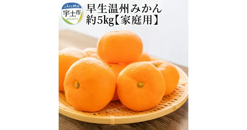 【ふるさと納税】進栄 家庭用 早生温州みかん 約5kg みかん 先行予約 国産 柑橘 果物 果実 ビタミン 旬 フルーツ ジューシー 美味しい 食品 常温 九州 お取り寄せ お取り寄せフルーツ 送料無料【熊本県宇土市】