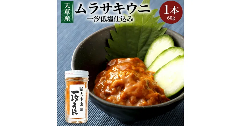 【ふるさと納税】天草産ムラサキウニ(一汐低塩仕込み)60g 塩 甘塩うに うに むらさきうに ウニ うに 熊本県産 九州 冷凍 送料無料