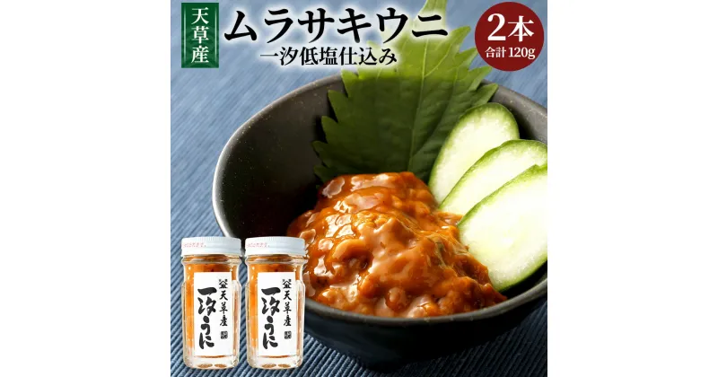 【ふるさと納税】天草産ムラサキウニ(一汐低塩仕込み)60g×2本 塩 甘塩うに うに むらさきうに ウニ うに 熊本県産 九州 冷凍 送料無料