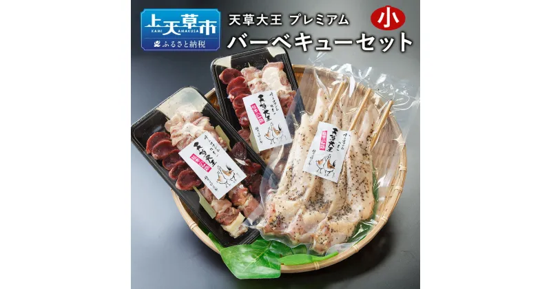 【ふるさと納税】天草大王 プレミアム バーベキューセット小 地鶏 鶏肉 セット 熊本県 上天草産 串セット 大手羽先串