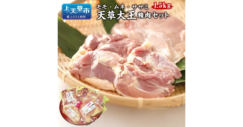 【ふるさと納税】天草大王精肉セット 1.5kg 地鶏 鶏肉 セット 熊本県 上天草産 モモ ムネ ササミ 鶏もも肉 鶏むね肉 ささみ お肉 肉 詰め合わせ 詰合せ 熊本 九州 国産 冷凍 熊本県 上天草市 送料無料