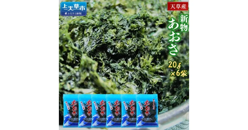 【ふるさと納税】天草産あおさ (乾燥) 20g×6袋 乾燥あおさ アオサ 青のり 熊本県産 九州 海藻 あおさ のり 青さのり あおさ海苔 味噌汁 aosa ヒトエグサ 熊本フード ふるさと納税天草市 ふるさと納税あおさ 故郷納税 返礼品 味噌汁の具 お味噌汁 高級食材 乾物 小分け