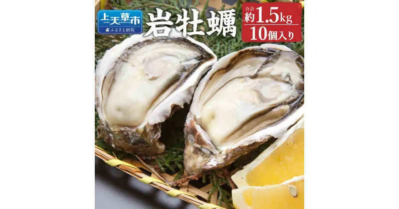 【ふるさと納税】岩牡蠣 10個 合計約1.5kg 1個あたり150g 牡蠣 カキ かき 殻付き 加熱用 魚介類 魚貝類 貝類 海産物 冷蔵 天草産 九州産 国産 送料無料