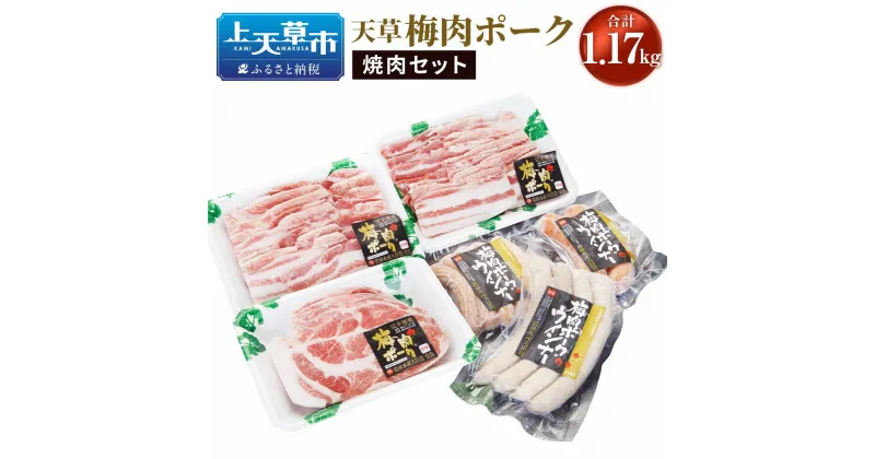 【ふるさと納税】（飼育期間中）完全無薬！梅肉エキス肥育 天草梅肉ポーク 焼肉セット 合計1.17kg 肉 お肉 焼き肉 詰め合わせ 詰合せ 熊本県産 上天草産 九州産 梅肉 豚肉 バラ肉 ロース ウィンナー 焼肉 冷凍 送料無料