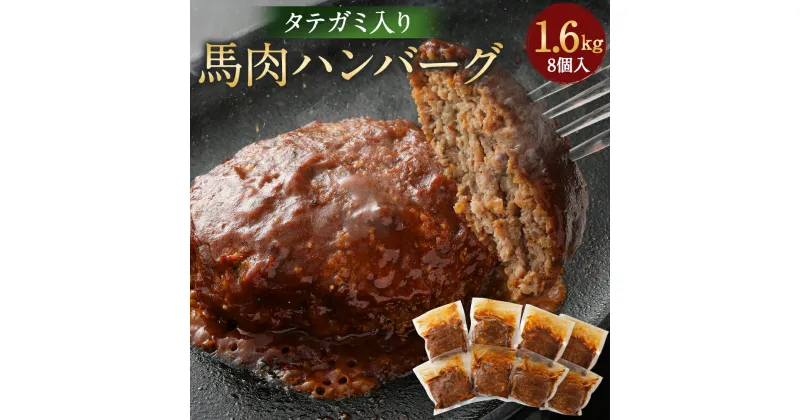 【ふるさと納税】タテガミ入り馬肉ハンバーグ 8個セット 200g×8個 合計1.6kg（デミソース含む） デミグラスソース ハンバーグ 馬肉 惣菜 おかず 真空パック グルメ お取り寄せ 冷凍 送料無料