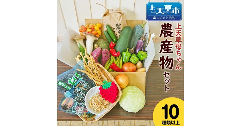 【ふるさと納税】上天草母ちゃん農産物セット 野菜・お米・加工品10種類以上！ 野菜 米 季節 旬 セット 詰め合わせ 九州 熊本県 上天草市 冷蔵 春 送料無料