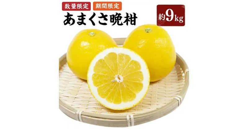 【ふるさと納税】【先行受付】【数量限定】あまくさ晩柑 約9kg 晩柑 ばんかん 柑橘 フルーツ 果物 くだもの 上天草市産 熊本県産 九州産 国産 送料無料 【2025年3月上旬から4月下旬順次発送】