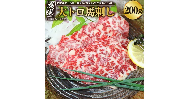 【ふるさと納税】大トロ 馬刺し 200g 馬刺 刺し 馬肉 肉 お肉 ばさし ばにく ブロック お取り寄せ グルメ 冷凍 送料無料