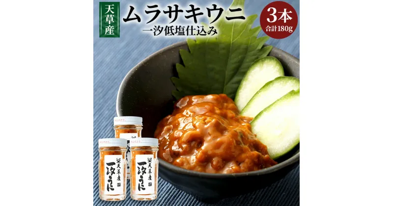 【ふるさと納税】天草産ムラサキウニ(一汐低塩仕込み)60g×3本 塩 甘塩うに うに むらさきうに ウニ うに 熊本県産 九州 冷凍 送料無料