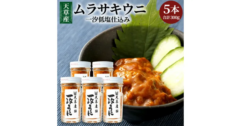 【ふるさと納税】天草産ムラサキウニ(一汐低塩仕込み)60g×5本 塩 甘塩うに うに むらさきうに ウニ うに 熊本県産 九州 冷凍 送料無料