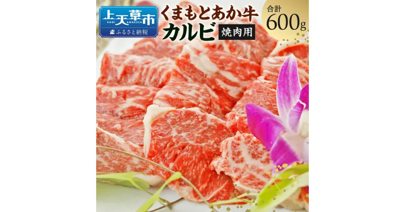 【ふるさと納税】GI くまもとあか牛 カルビ 焼肉用 600g 和牛 牛 牛肉 スライス 国産 九州産 熊本県産 冷凍 送料無料