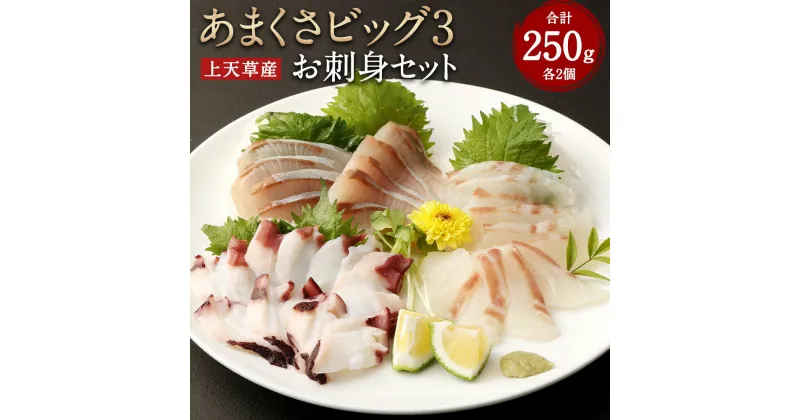 【ふるさと納税】「あまくさビッグ3」 お刺身セット 合計約250g 各2個 魚 刺身 お刺身 刺し身 魚介類 カンパチ タイ タコ かんぱち 鯛 たい たこ 蛸 上天草産 冷凍 送料無料