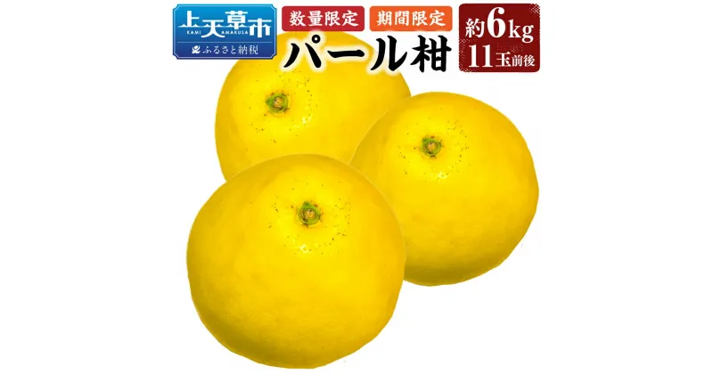 【ふるさと納税】【先行受付】【数量限定】パール柑 約6kg 11玉前後 ぱーるかん 柑橘 フルーツ 果物 くだもの 上天草市産 熊本県産 九州産 国産 送料無料 【2025年2月下旬から3月下旬順次発送】