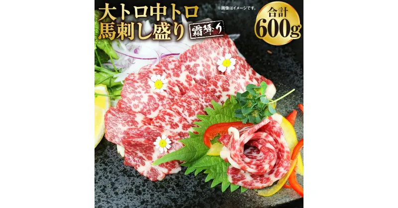 【ふるさと納税】大トロ 中トロ 馬刺し盛り 合計600g 2種 セット 霜降り 馬刺 刺し 馬肉 肉 お肉 ばさし ばにく ブロック お取り寄せ グルメ 食べ比べ 冷凍 送料無料