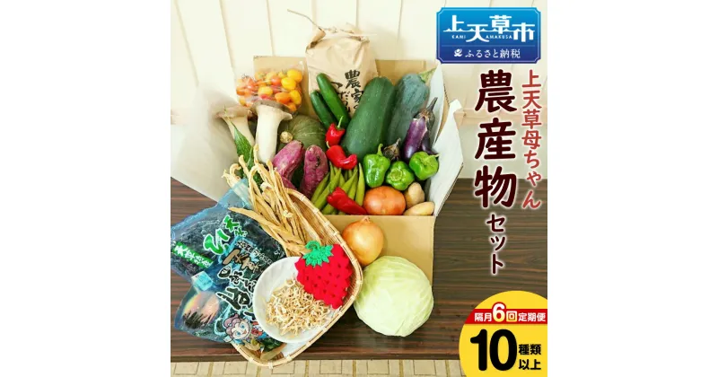 【ふるさと納税】【隔月定期便6回】上天草母ちゃん農産物セット 野菜・お米・加工品10種類以上！ 野菜 米 季節 旬 セット 詰め合わせ 九州 熊本県 上天草市 冷蔵 春 定期便 定期配送 送料無料