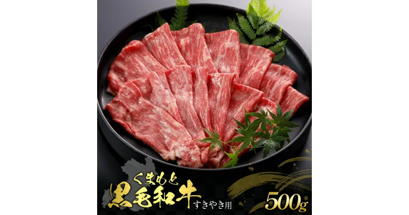 【ふるさと納税】くまもと黒毛和牛 すきやき用 500g 肉 お肉 おにく 国産牛 牛肉 黒毛和牛 ブランド牛 スライス すき焼き肉 すき焼き グルメ 熊本県産 冷凍 送料無料